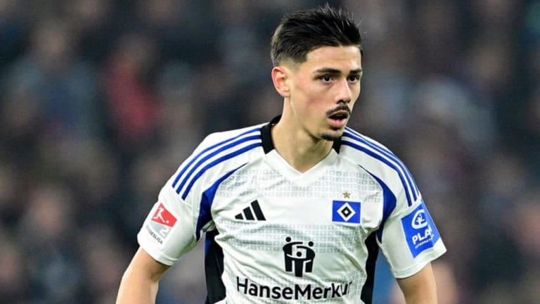 Dennis Hadžikadunić's Net Worth Details