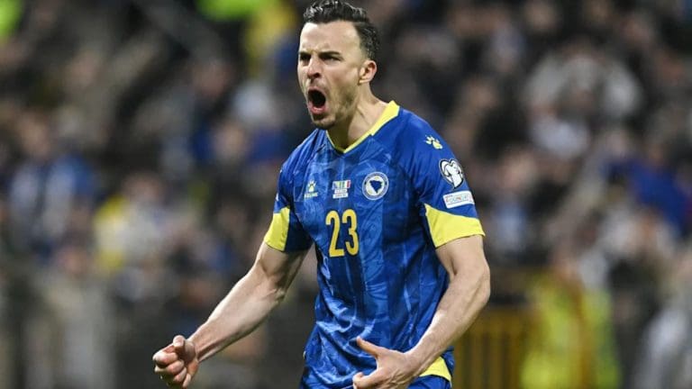 Haris Tabaković's Net Worth Details