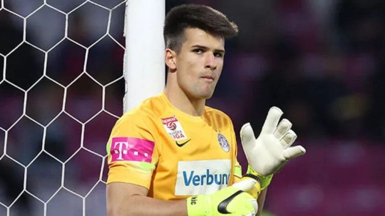Osman Hadžikić's Net Worth Details