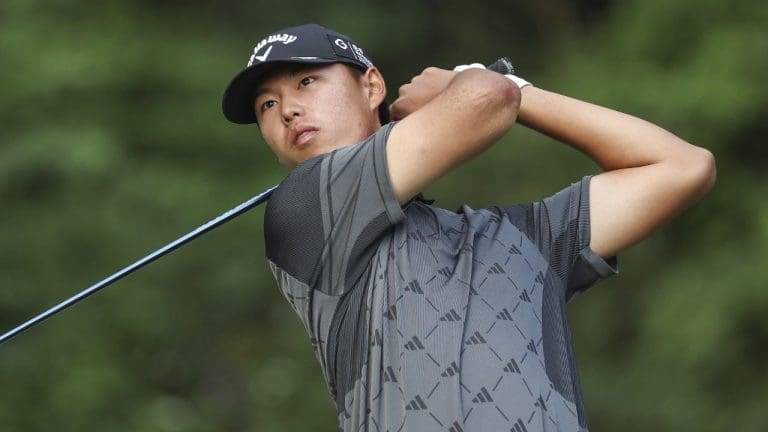 Wenyi Ding's Net Worth Details