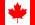 Canada National Team - World Cup 2026