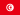 Tunisia National Team - World Cup 2026