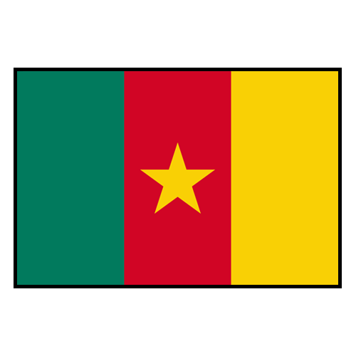 Cameroon flag