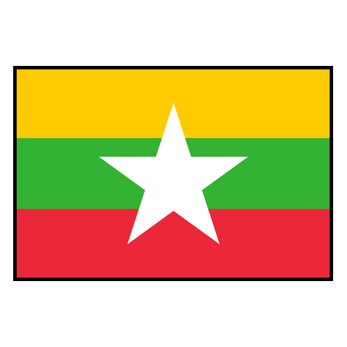 MYA flag