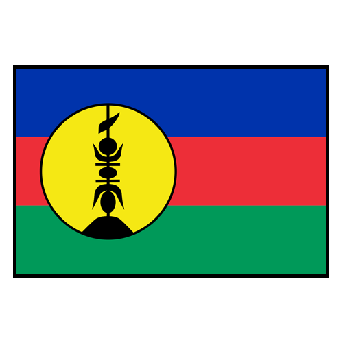NCD flag