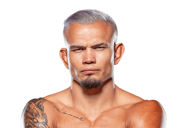 Alan Dominguez