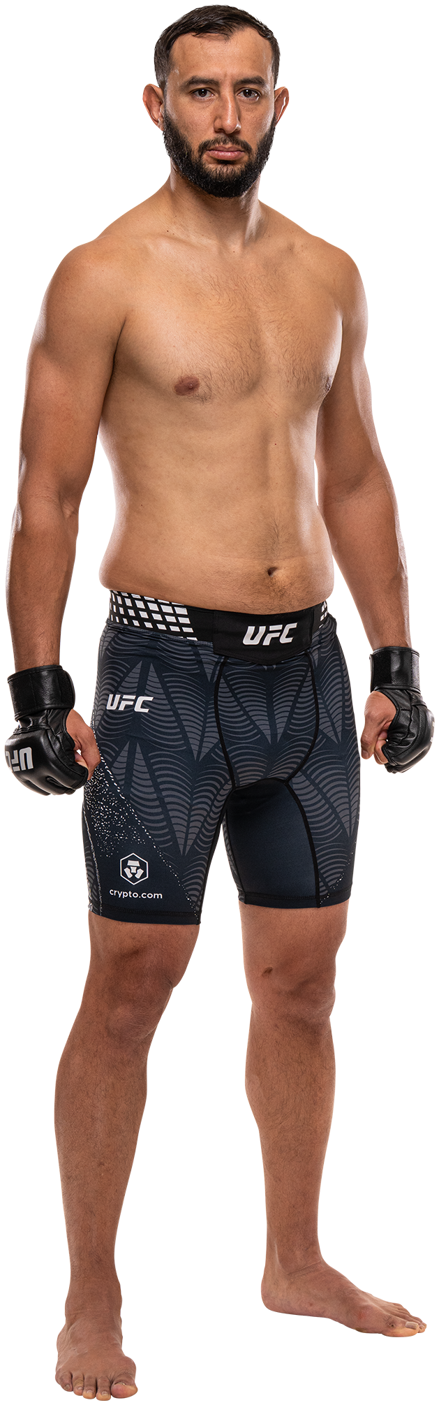 Dominick Reyes full-body stance