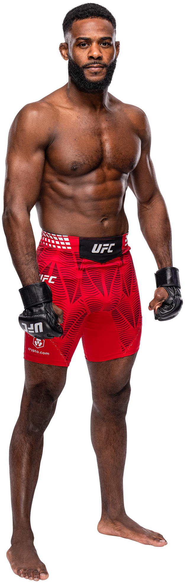Aljamain Sterling full-body stance