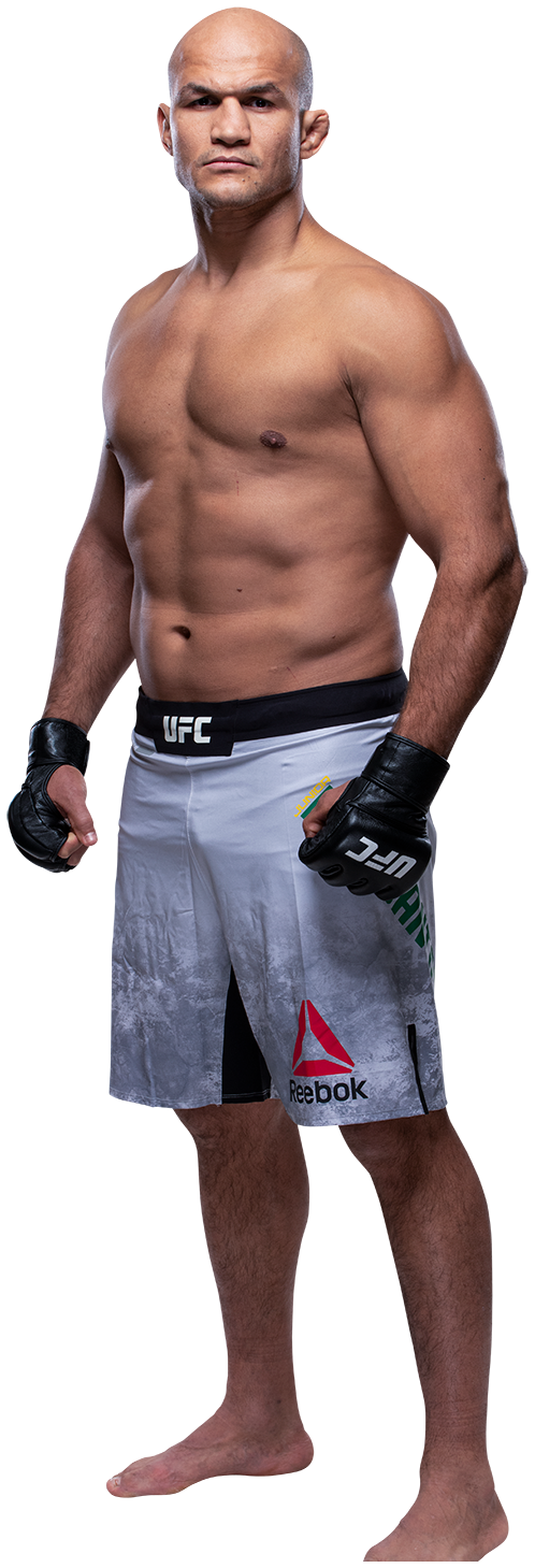 Junior Dos Santos