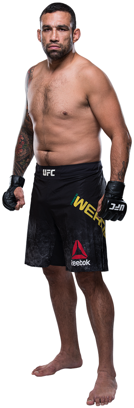 Fabricio Werdum