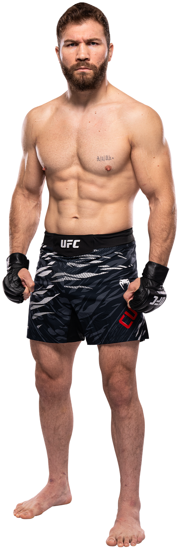 Ion Cutelaba
