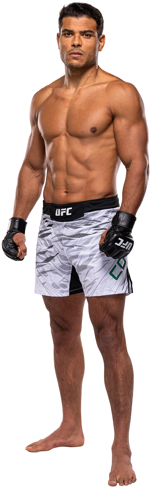 Paulo Costa