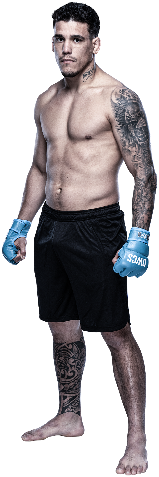 Heraldo Souza
