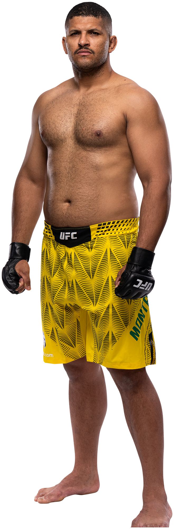 José Montanha full-body stance
