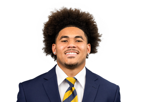 Michael Hurst Jr.