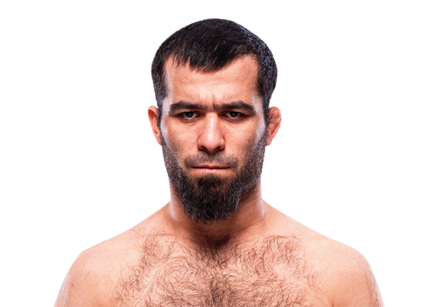 Muin Gafurov