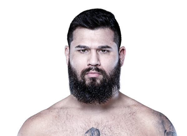 Paulo Renato Jr.