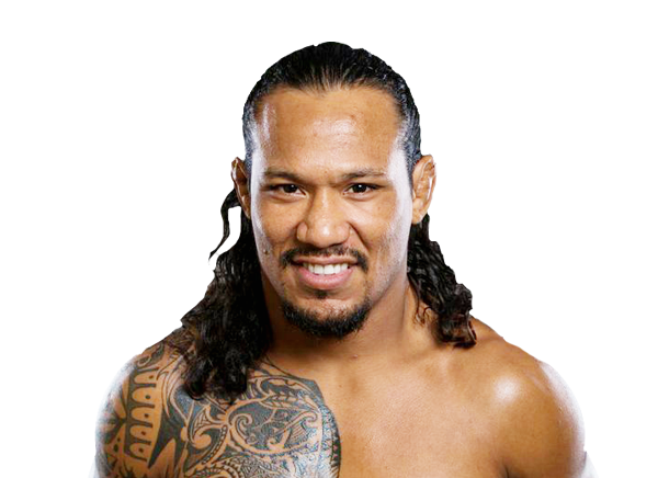 Luis Palomino