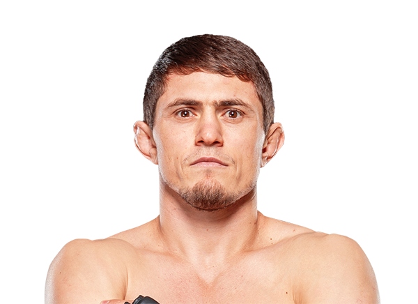 Shamil Musaev