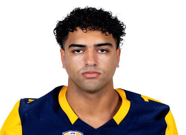 Sayed Abuhamdeh