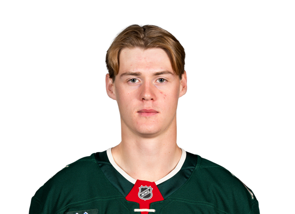 Viking Gustafsson Nyberg