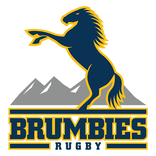 Brumbies logo