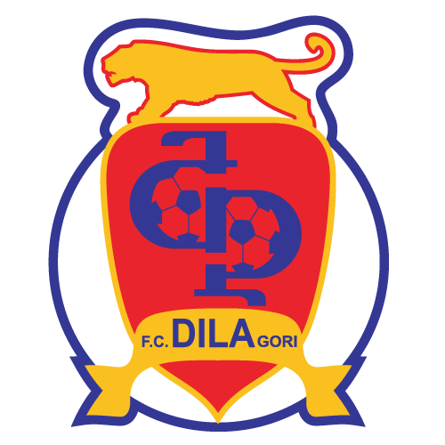 Dila Gori logo