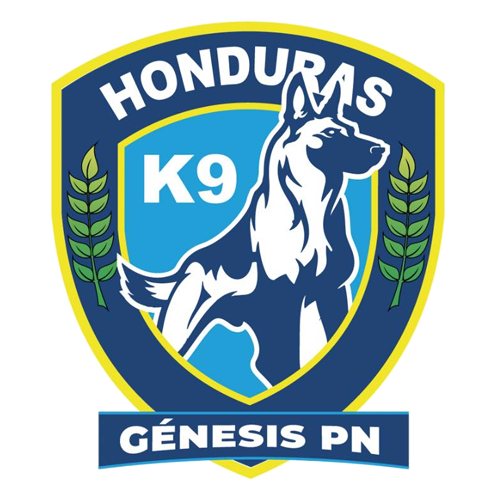 Génesis PN
