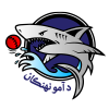 Amo Sharks